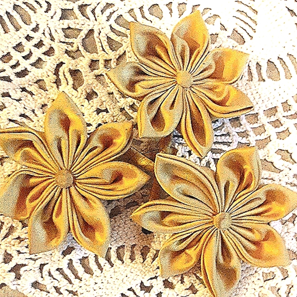 Anthropologie Barrettes